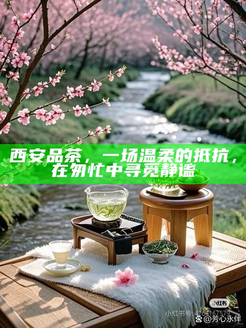 西安品茶，一场温柔的抵抗，在匆忙中寻觅静谧